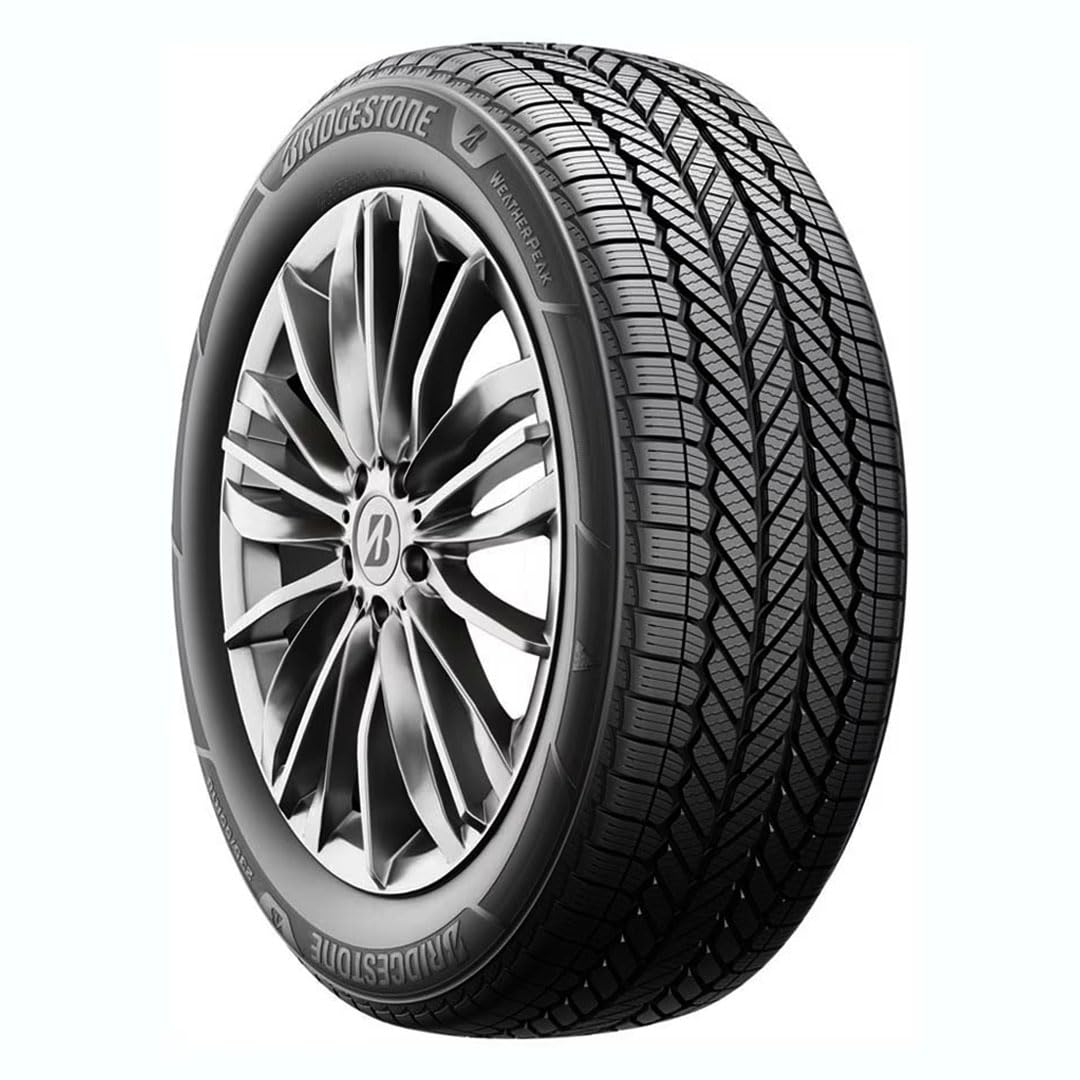 All Weather 265/60R18 110V Passenger Tire F96199