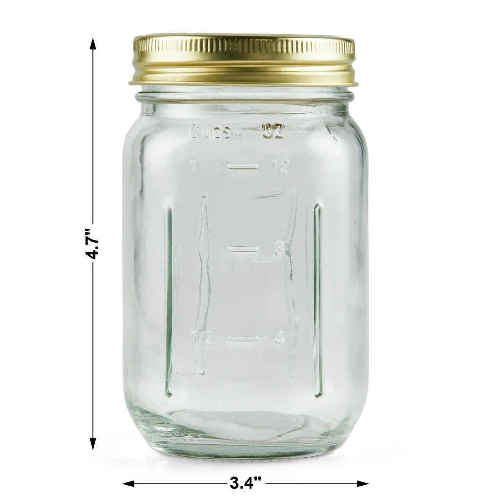 16 oz Regular Mouth Glass Canning Jars with Lids and Rings, 12-Pack X6965