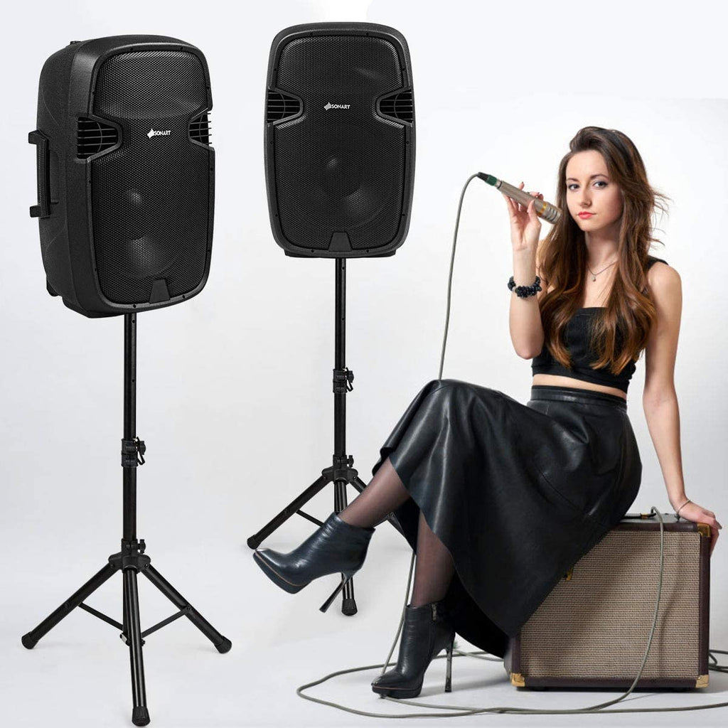 Portable 15" PA Speaker System Set N691686