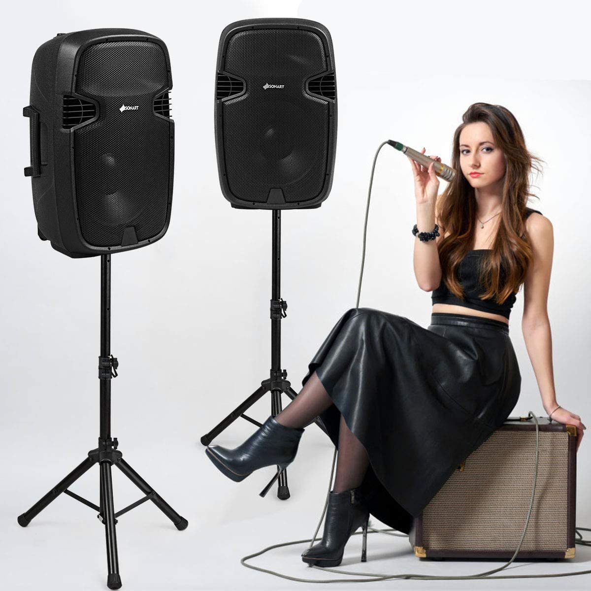 Portable 15" PA Speaker System Set N691686