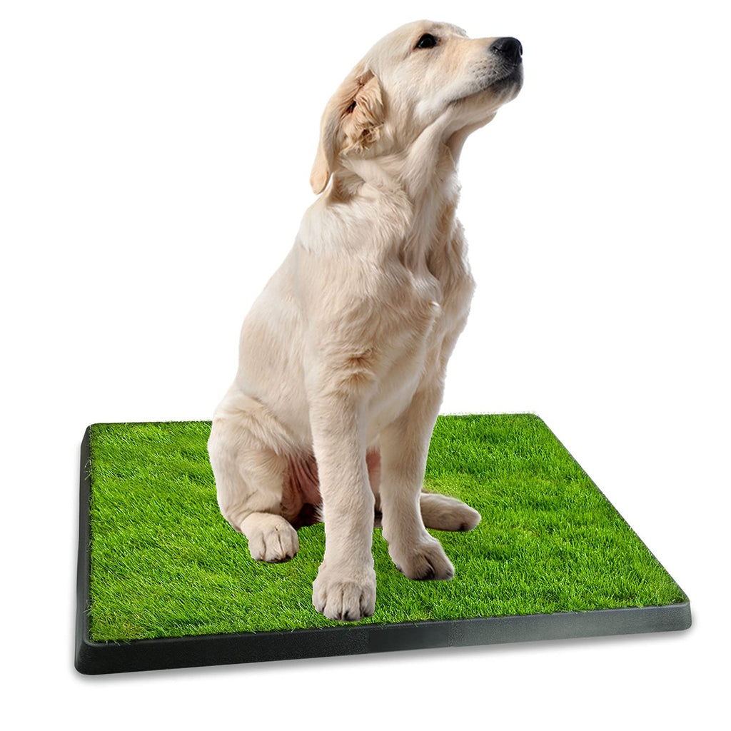 Indoor Dog Potty Grass Pad with Tray Q976542