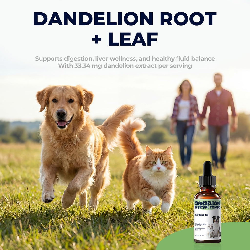 Dandelion Root & Leaf Extract Drops T899