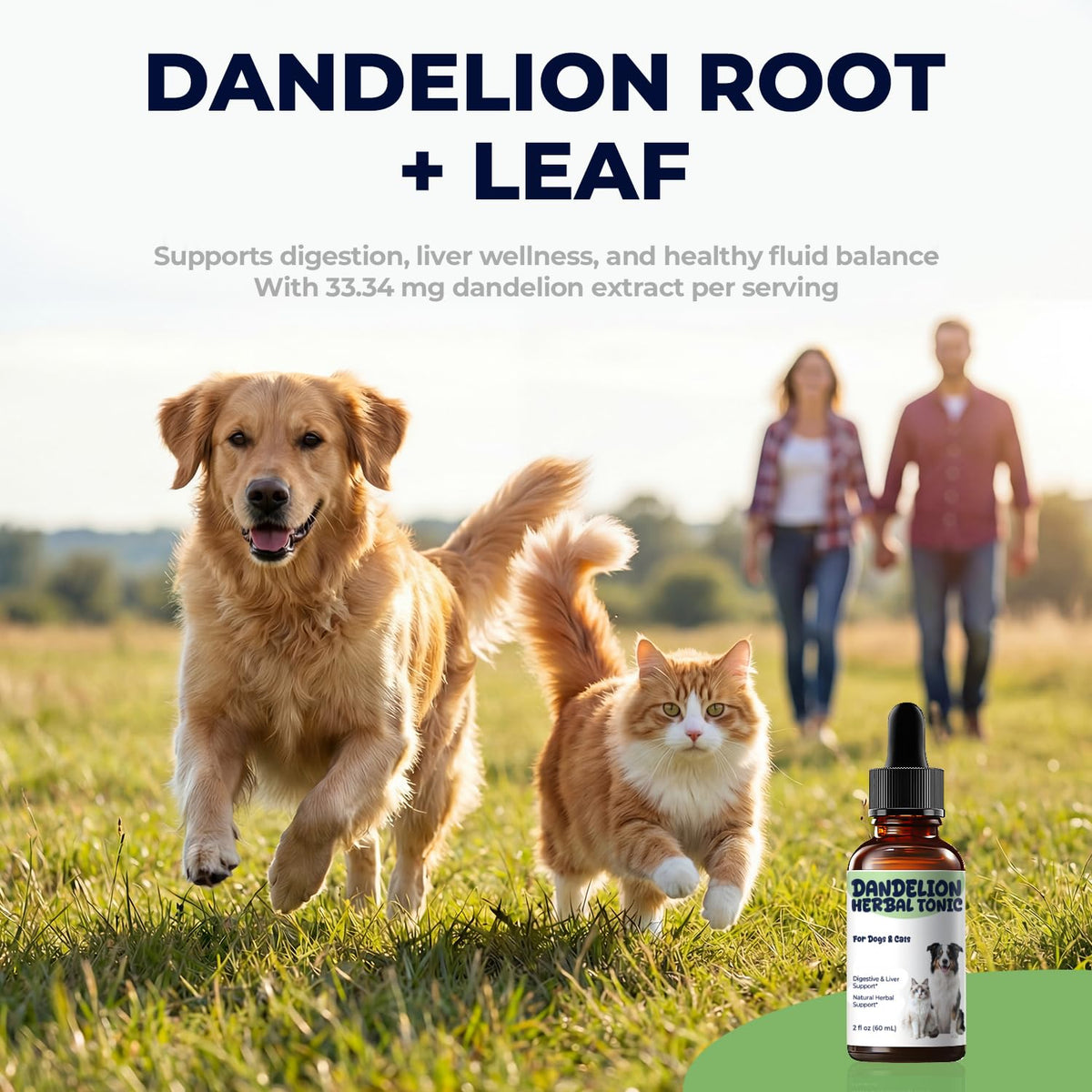 Dandelion Root & Leaf Extract Drops T899