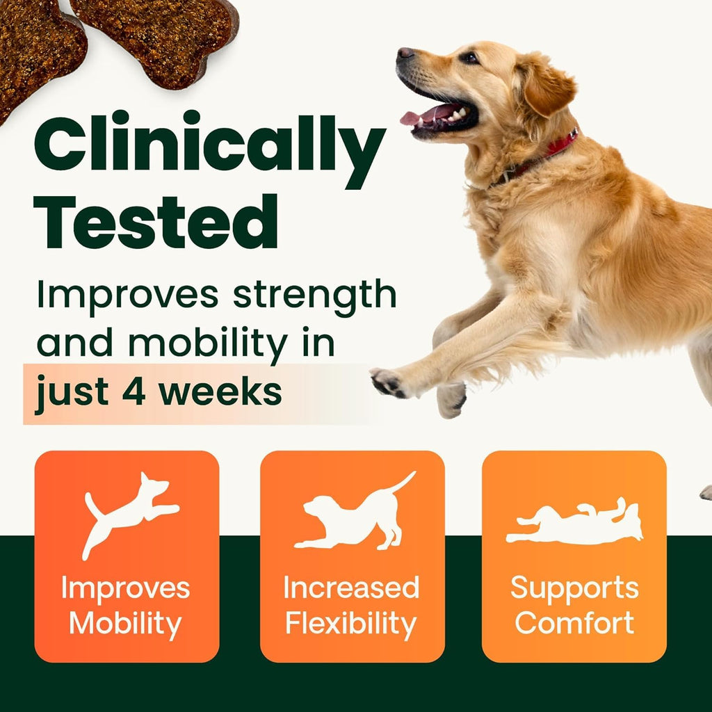 Chicken Hip & Joint Tablets for Dogs, 120 Count D288