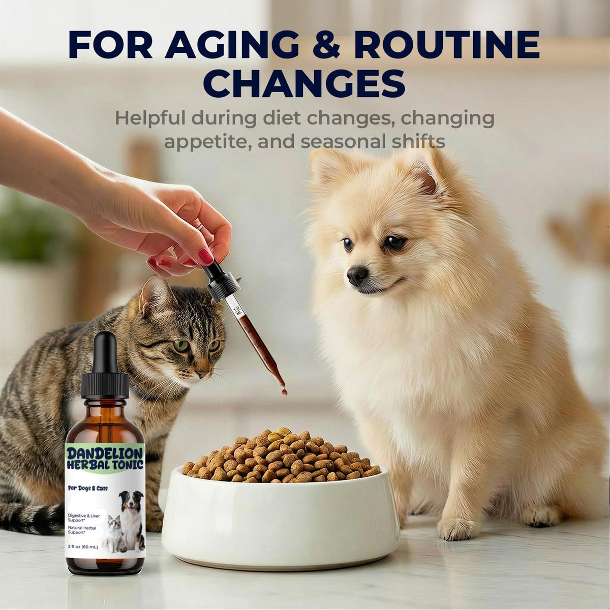 Dandelion Root & Leaf Extract Drops T899