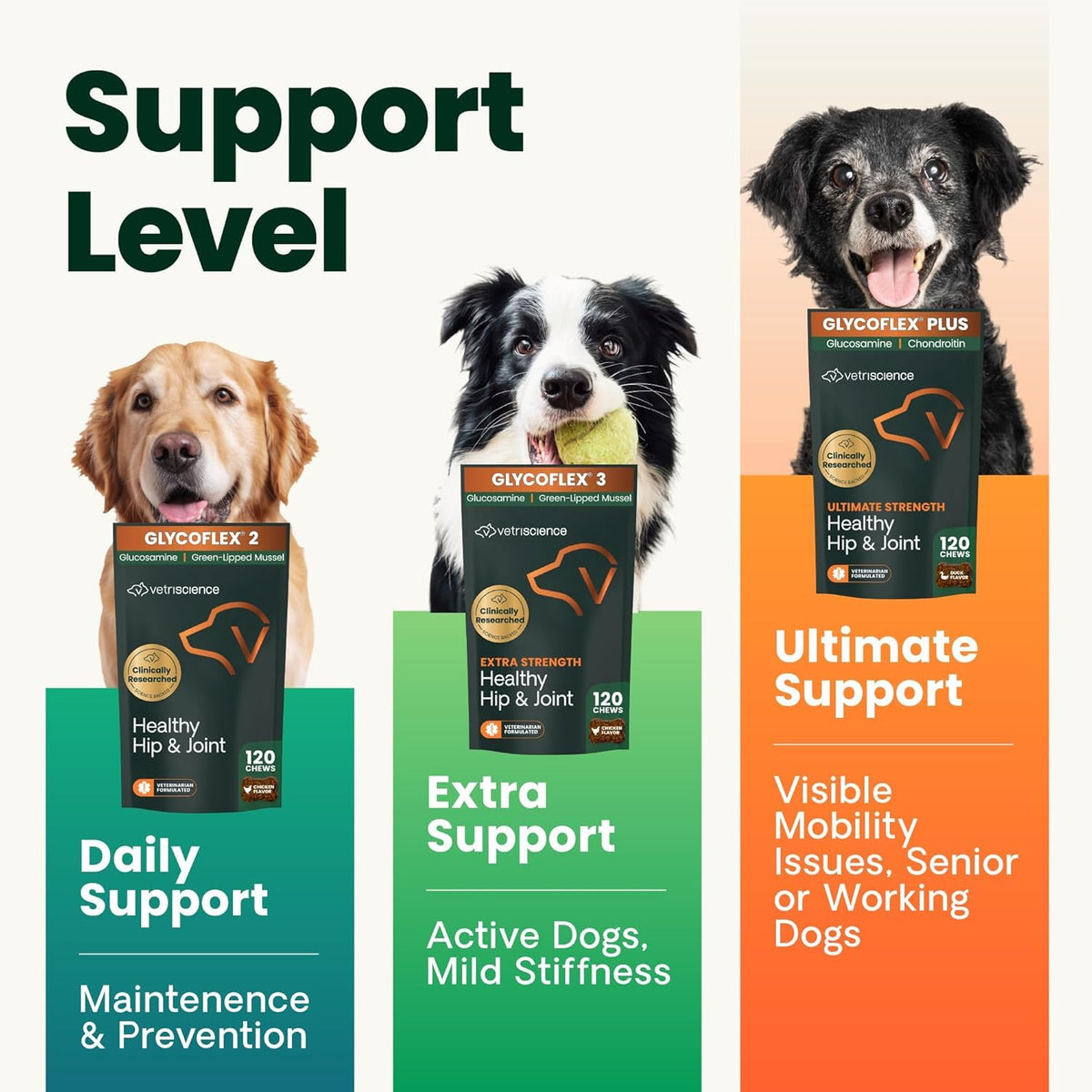 Chicken Hip & Joint Tablets for Dogs, 120 Count D288
