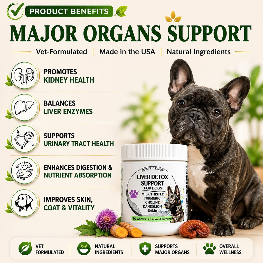Liver Support Supplement for Dogs – Milk Thistle, Turmeric, Same & Choline – 90 Chews P2217