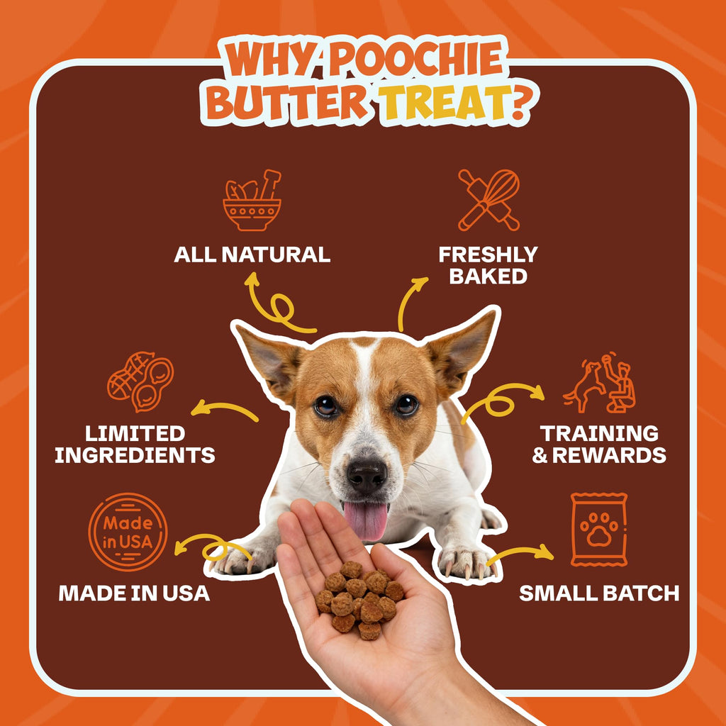 Soft & Chewy Pumpkin Dog Treats 8oz 2 Pack N433