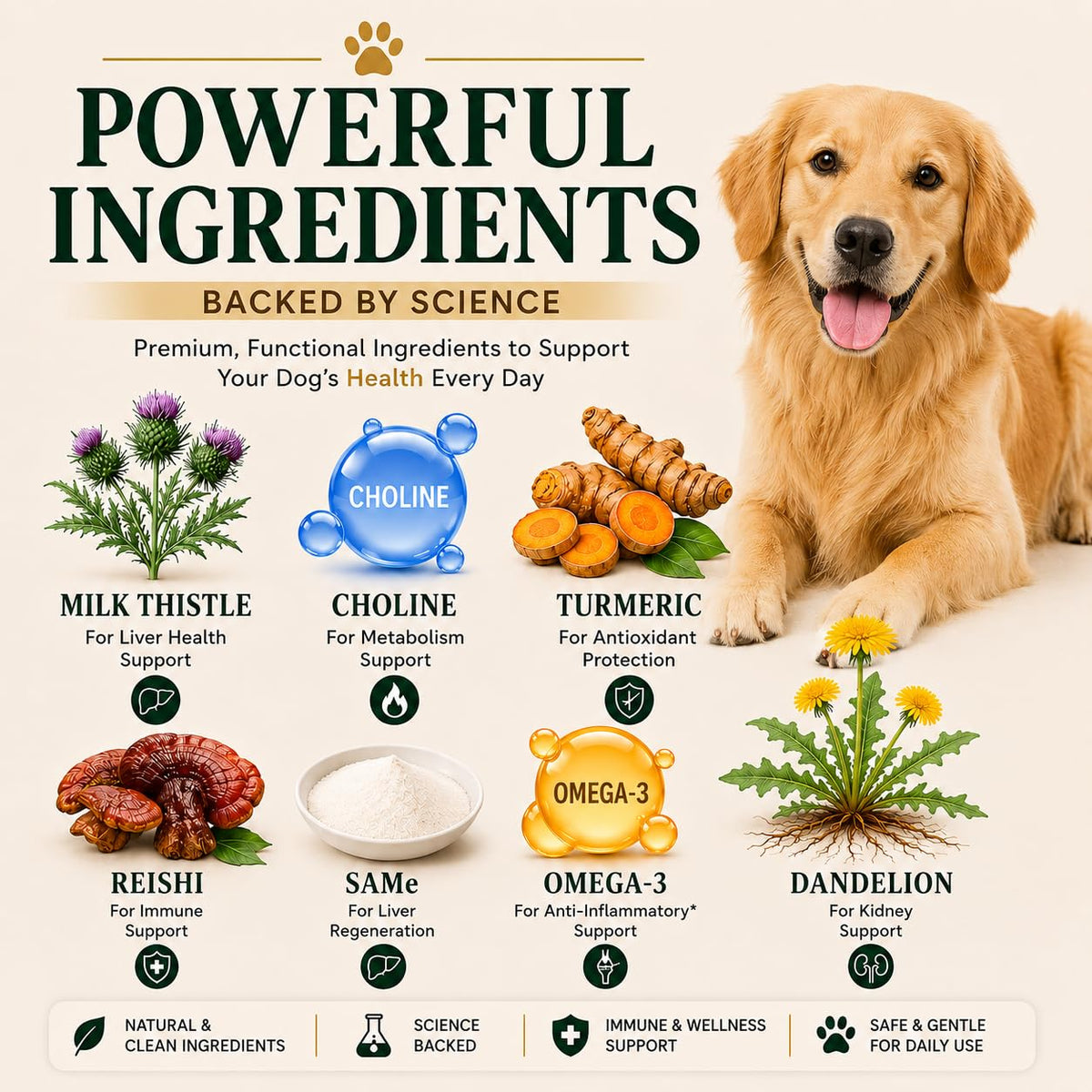 Liver Support Supplement for Dogs – Milk Thistle, Turmeric, Same & Choline – 90 Chews P2217