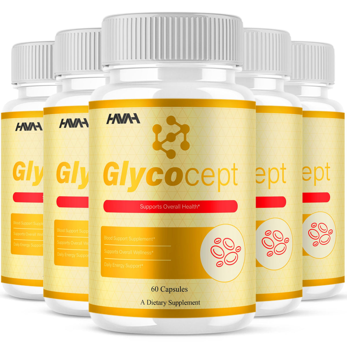 5 Pack 300 Capsules Blood Support T60007