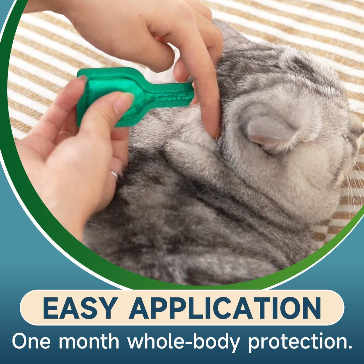 Cat Flea and Tick Treatment, 6 Doses O3901
