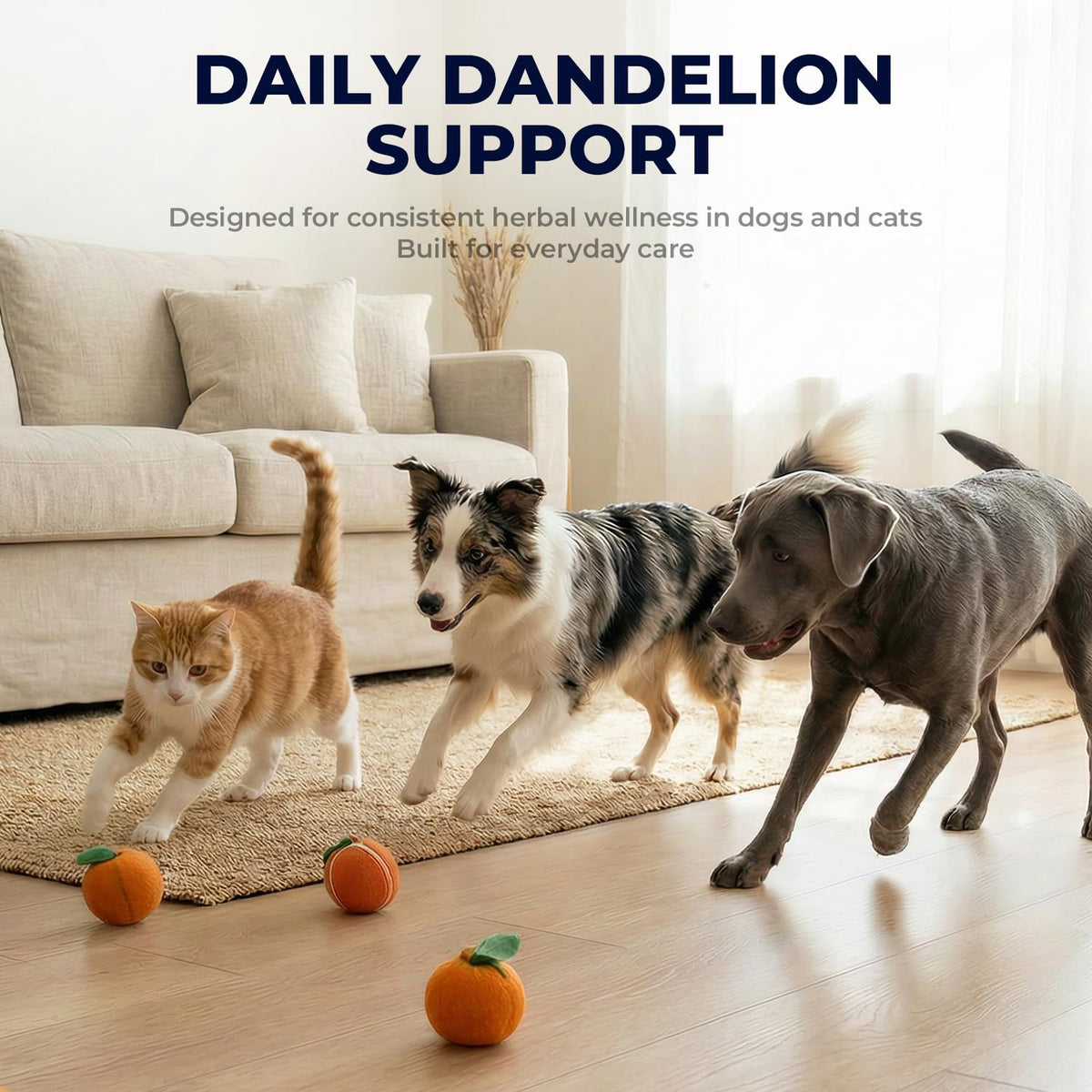 Dandelion Root & Leaf Extract Drops T899
