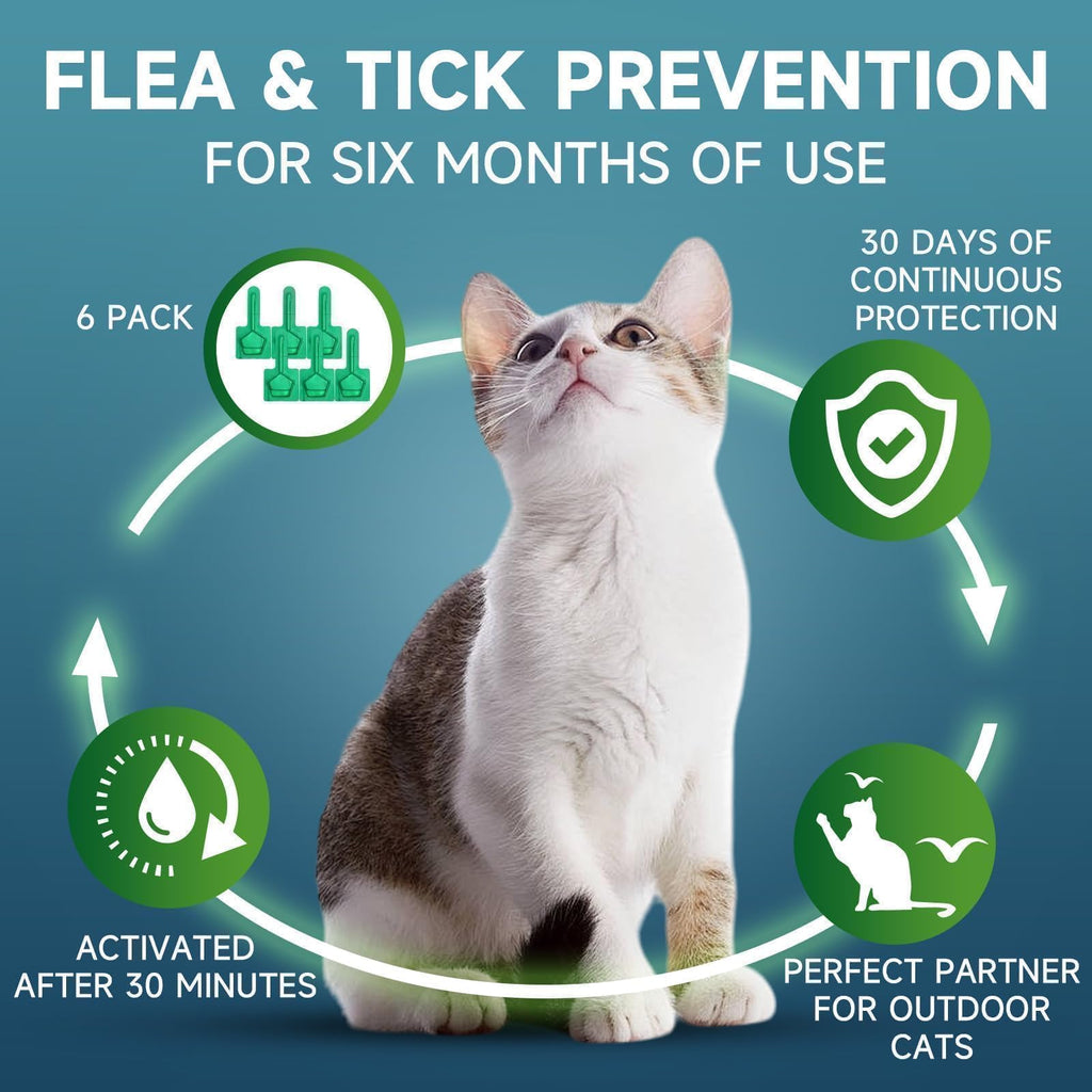 Cat Flea and Tick Treatment, 6 Doses O3901