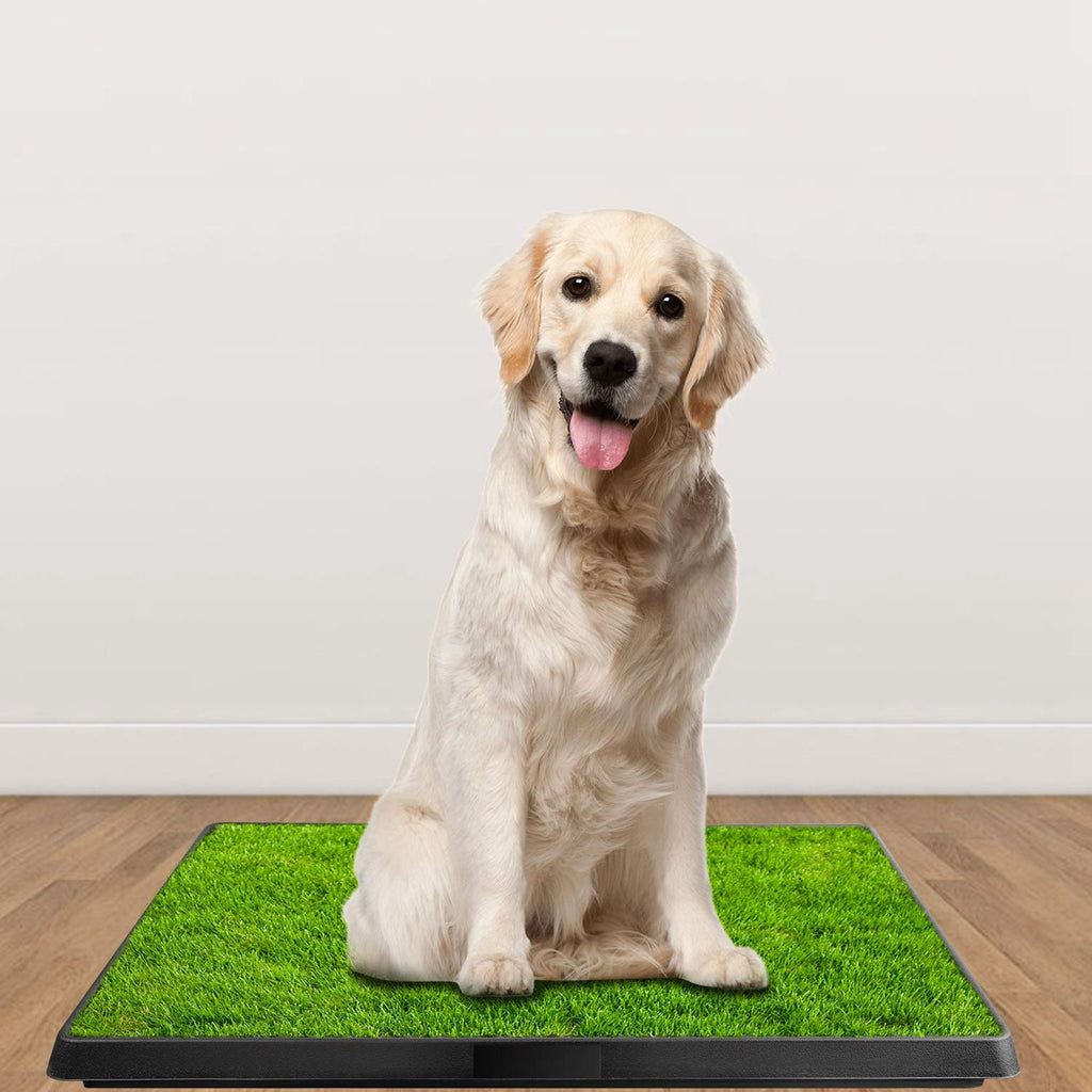 Indoor Dog Potty Grass Pad with Tray Q976542