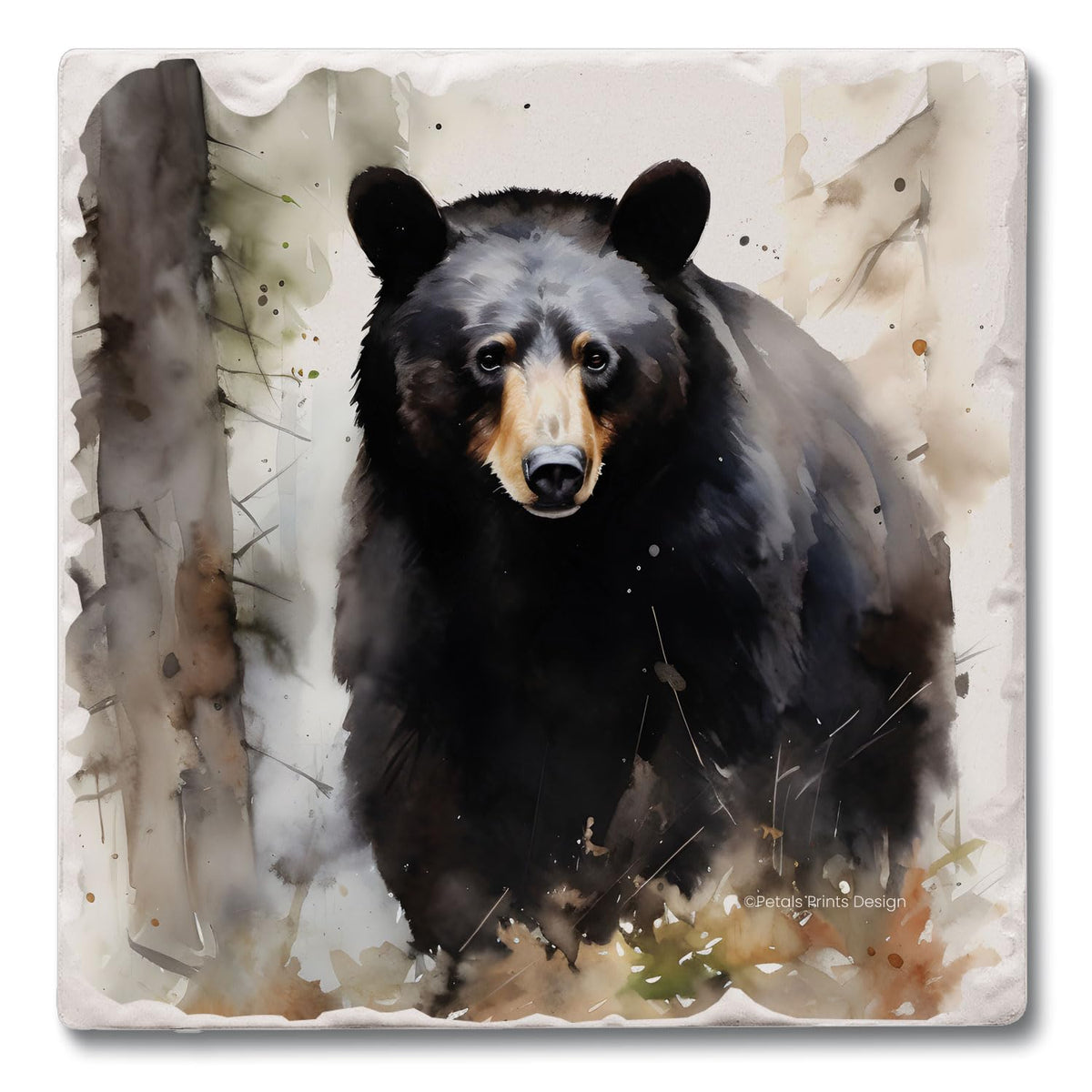 Absorbent Stone Coasters, Set of 4 B75026