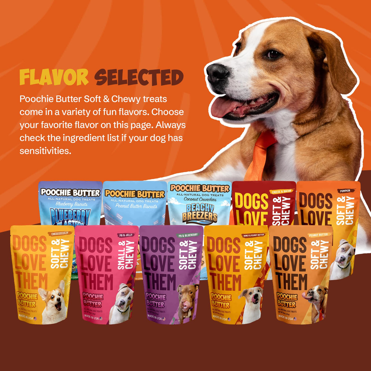 Soft & Chewy Pumpkin Dog Treats 8oz 2 Pack N433