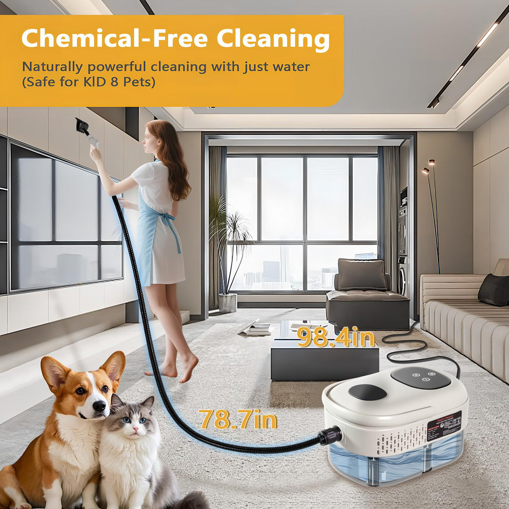 Handheld Steam Cleaner G3751