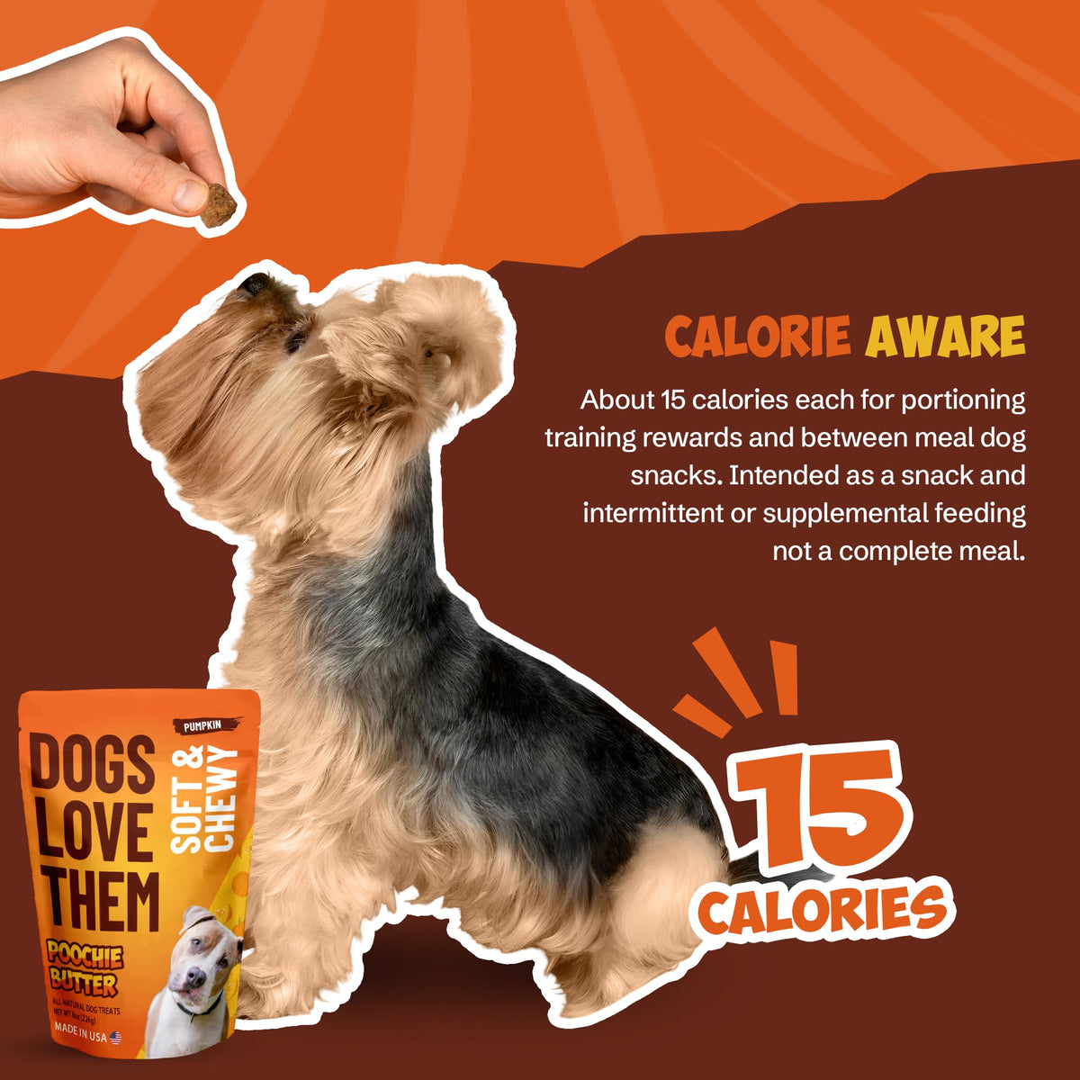 Soft & Chewy Pumpkin Dog Treats 8oz 2 Pack N433