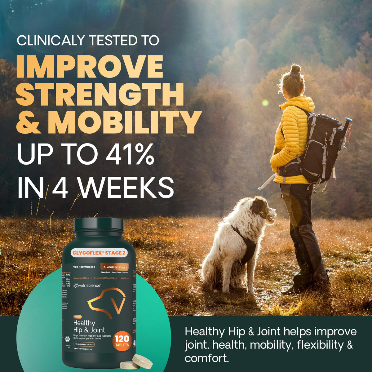Chicken Hip & Joint Tablets for Dogs, 120 Count D288