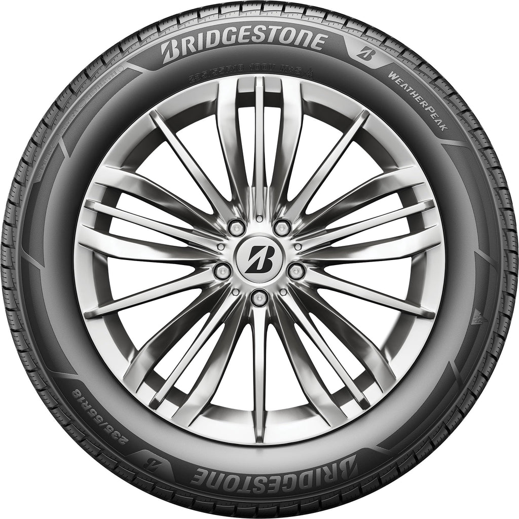 All Weather 265/60R18 110V Passenger Tire F96199