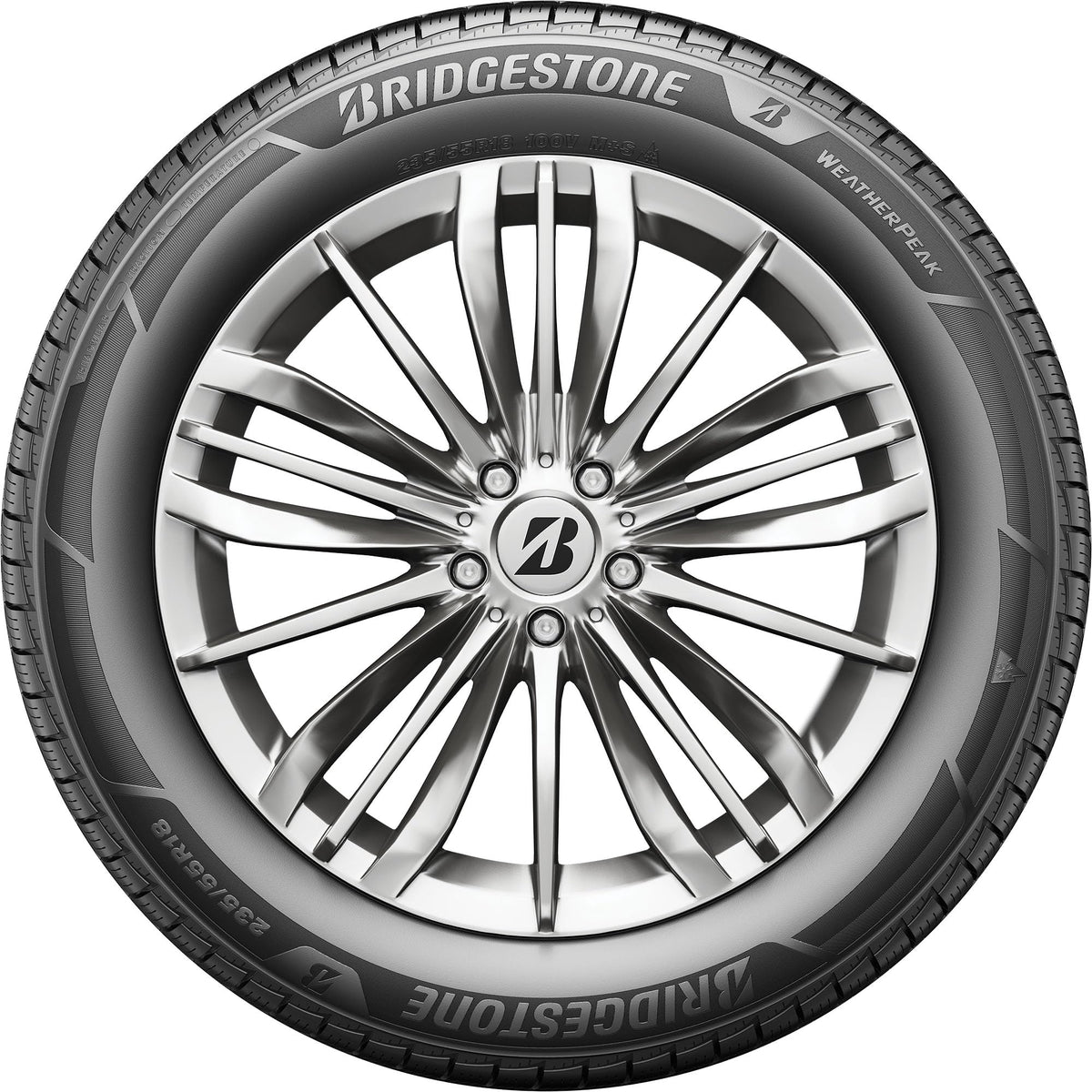 All Weather 265/60R18 110V Passenger Tire F96199