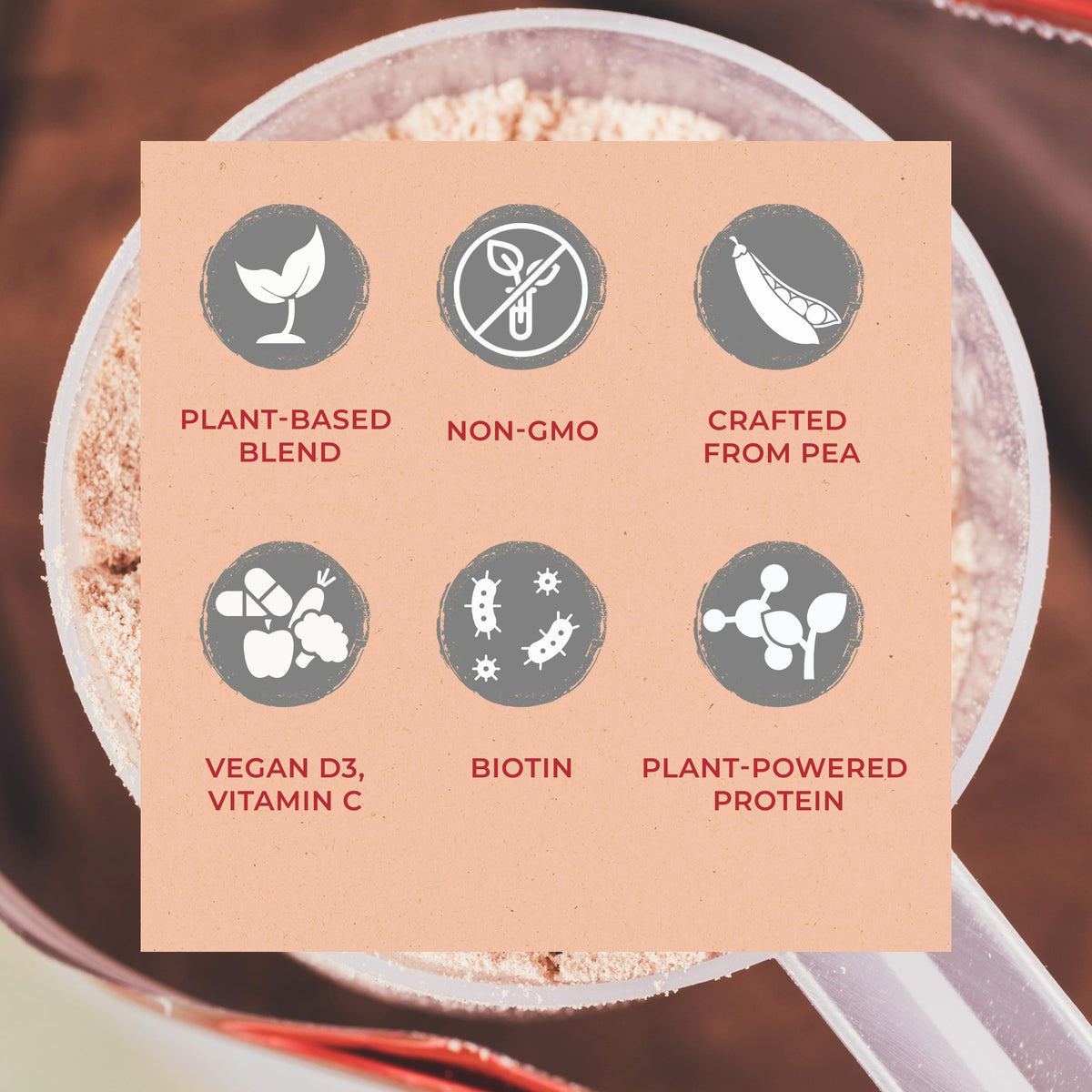 Vegan Protein Powder Vanilla M465468