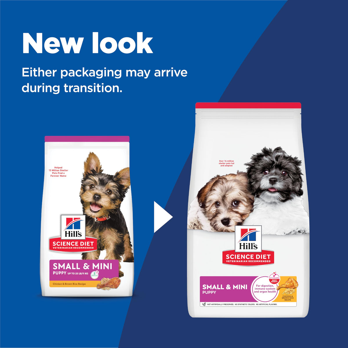 Dry Dog Food D9797