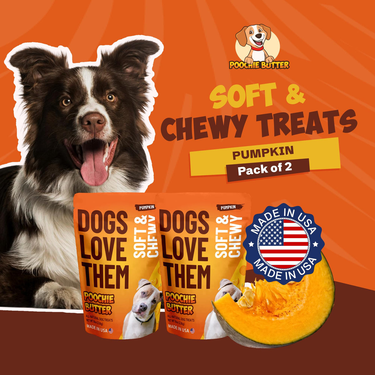 Soft & Chewy Pumpkin Dog Treats 8oz 2 Pack N433