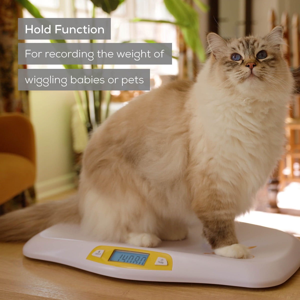 Digital Baby Scale up to 44 lbs with Hold Function S9150