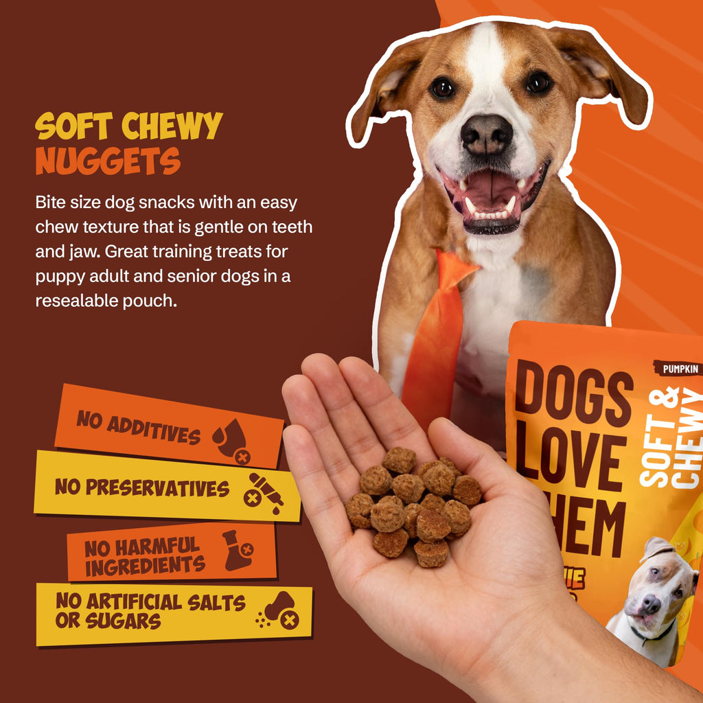 Soft & Chewy Pumpkin Dog Treats 8oz 2 Pack N433