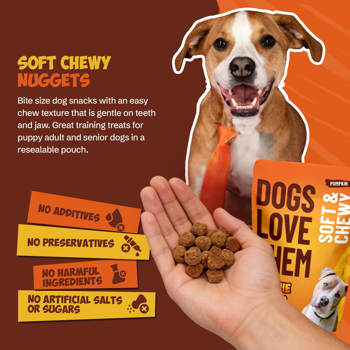 Soft & Chewy Pumpkin Dog Treats 8oz 2 Pack N433