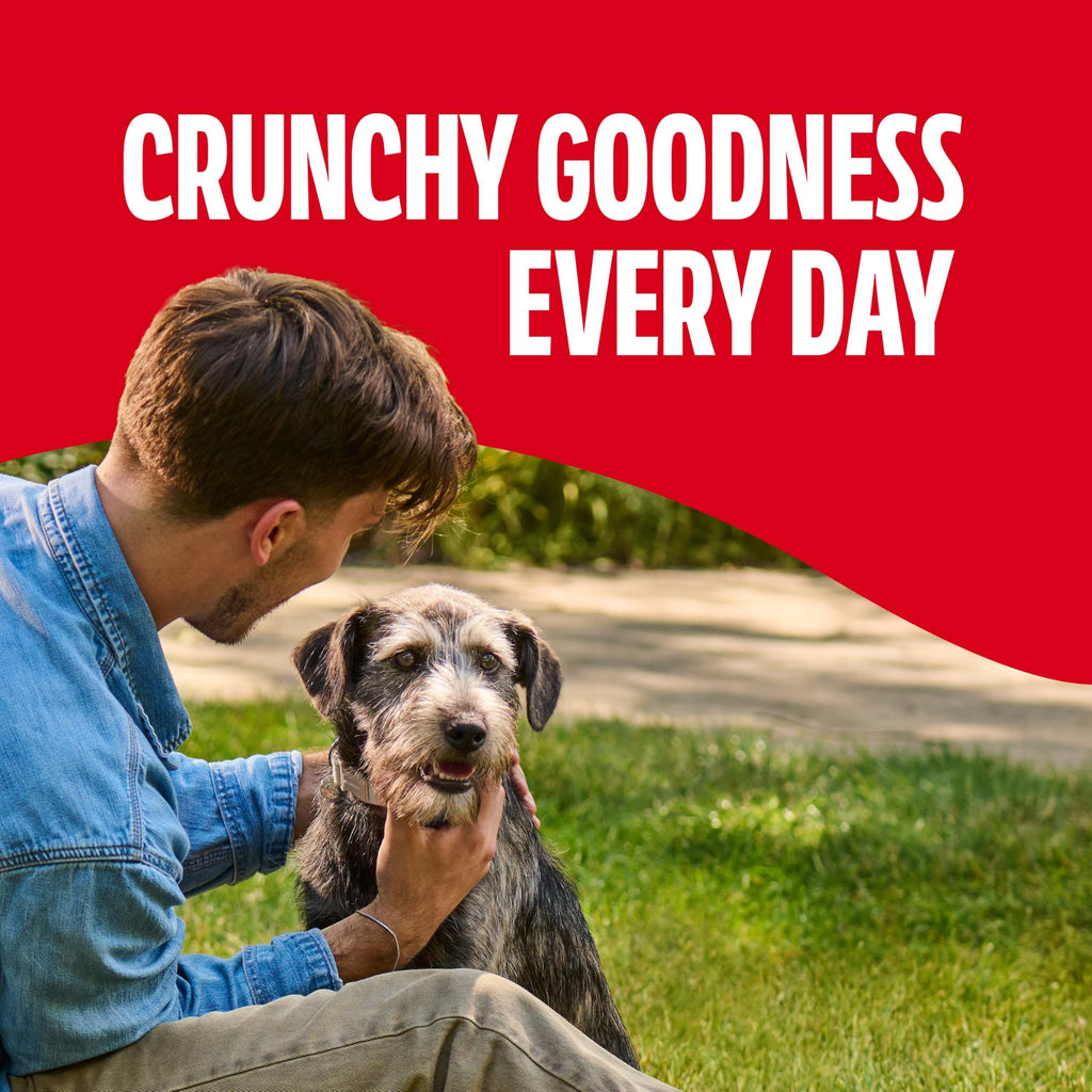 Gravy Coated Small Dog Biscuits D10193