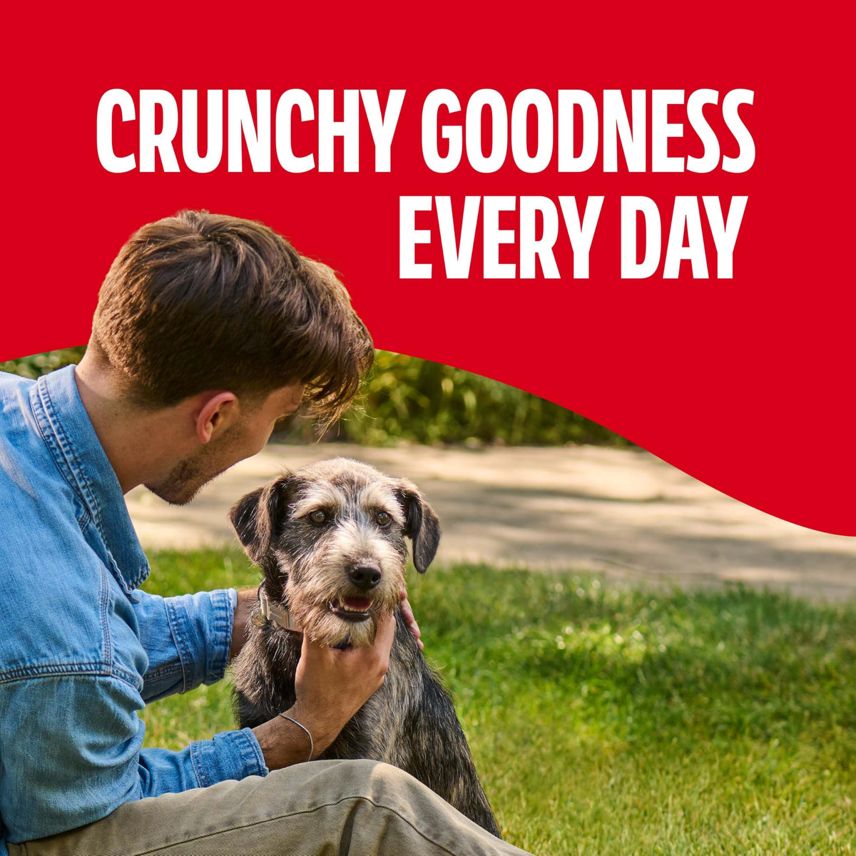 Gravy Coated Small Dog Biscuits D10193