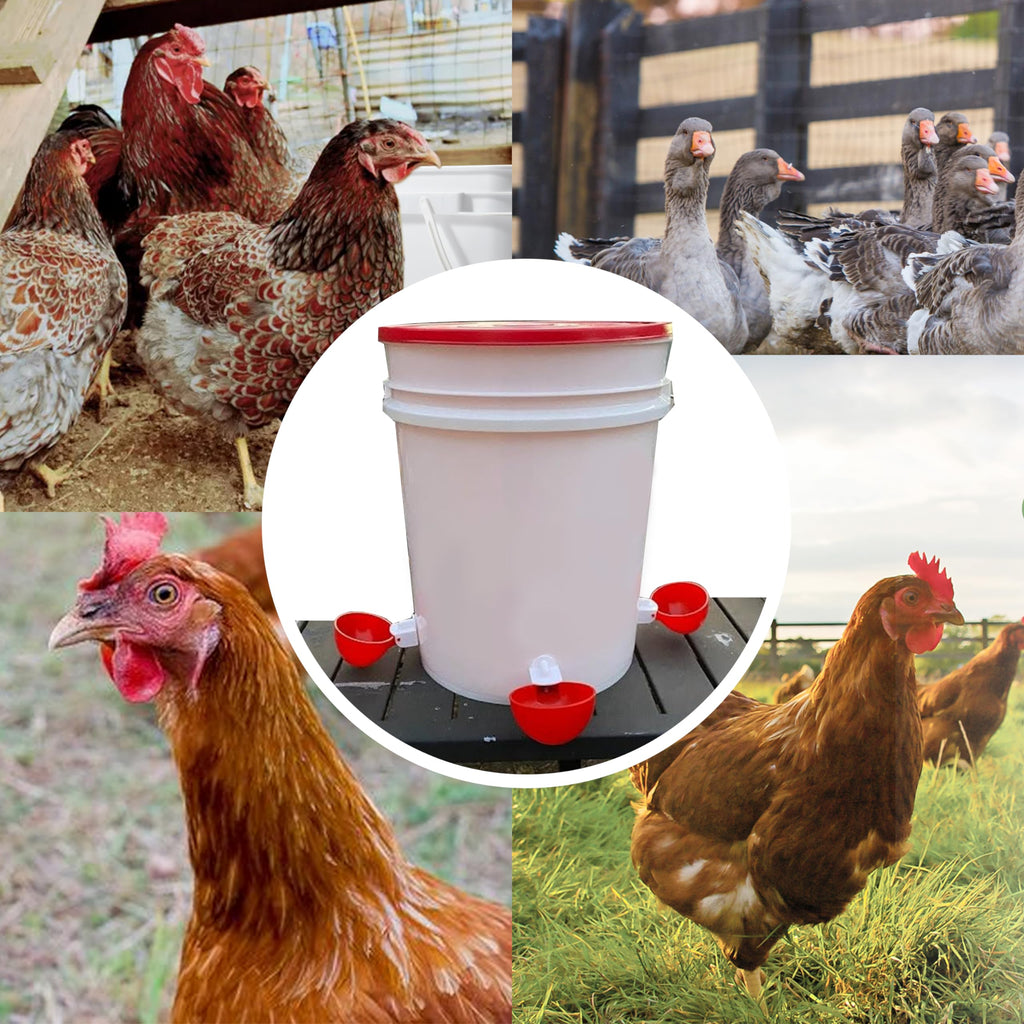 16 Pack Poultry Waterer Cups with Mounting Hole Opener D137